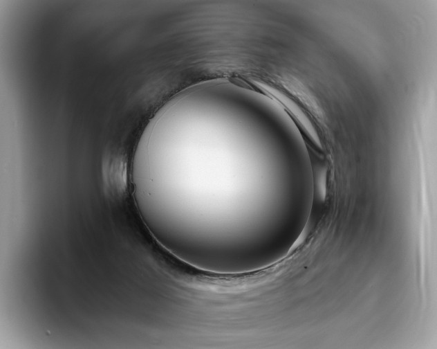 X0000094070021200710191128