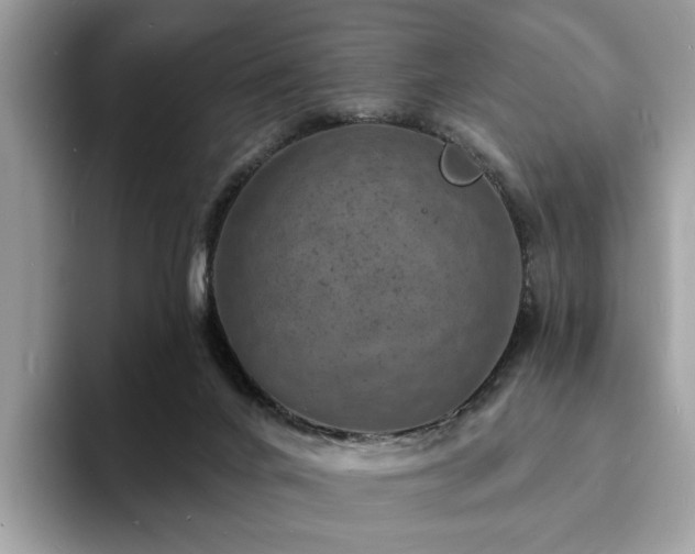 X0000094070024200710191128