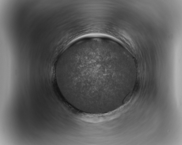 X0000094070029200710191128