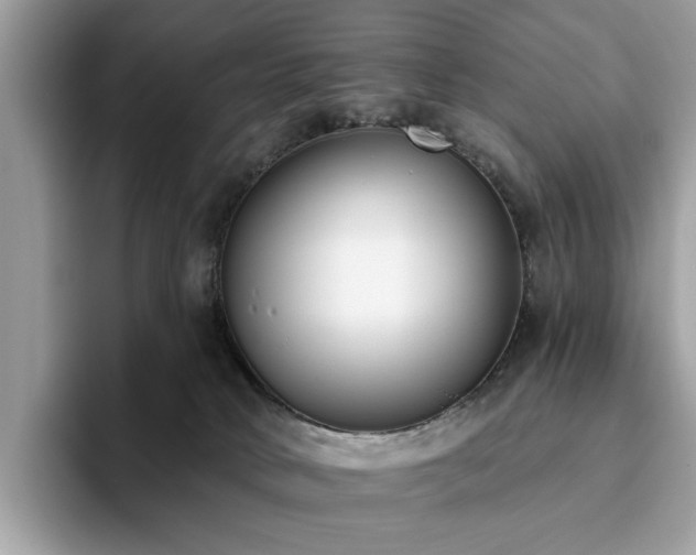 X0000094070034200710191128