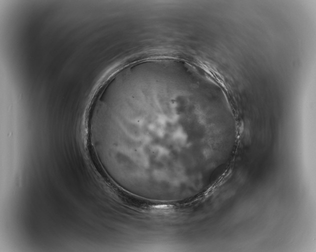X0000094070053200710191127