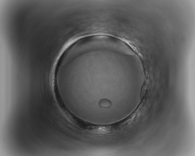X0000094070056200710191127