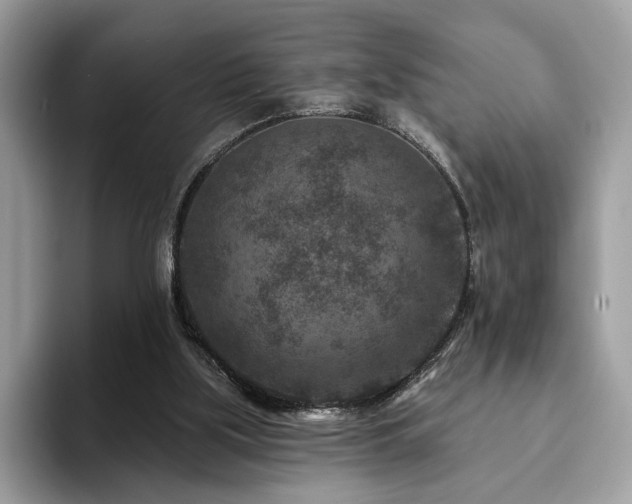 X0000094070059200710191127