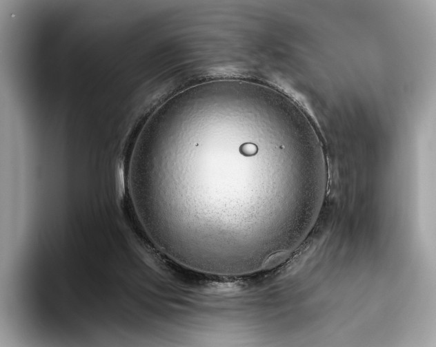 X0000094070061200710191127