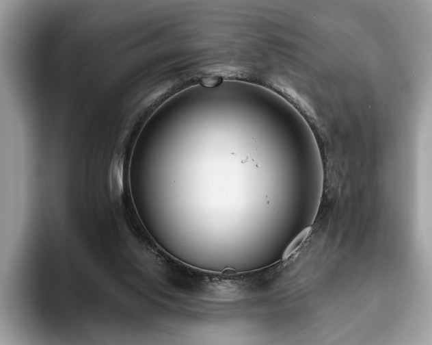 X0000094070062200710191127