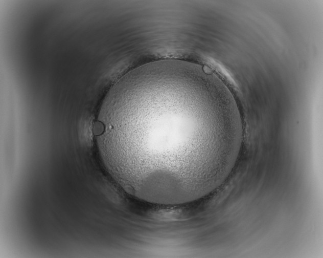 X0000094070065200710191127