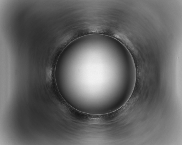 X0000094070066200710191127
