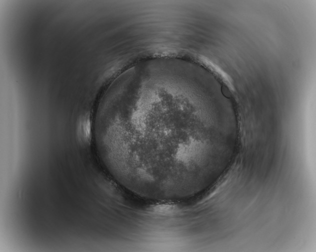X0000094070067200710191127