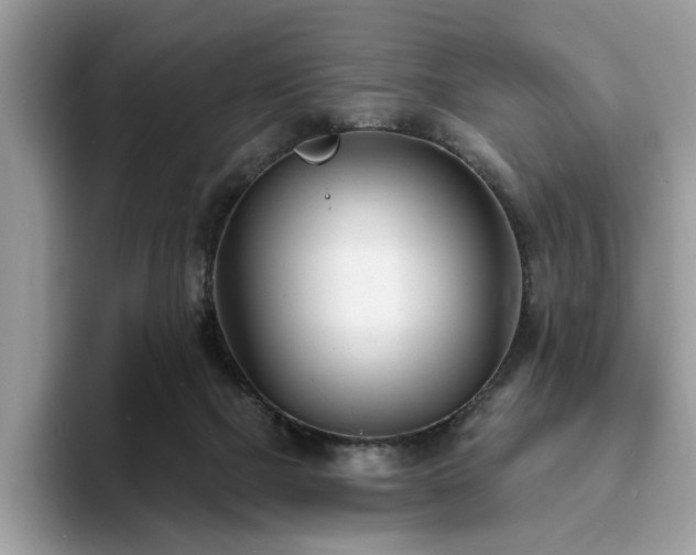 X0000094070073200710191127