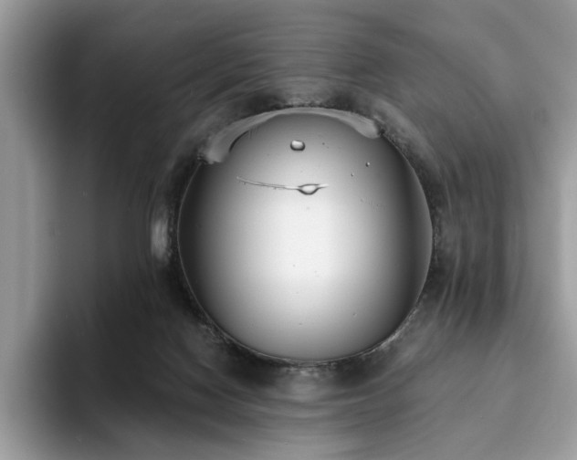 X0000094070074200710191128