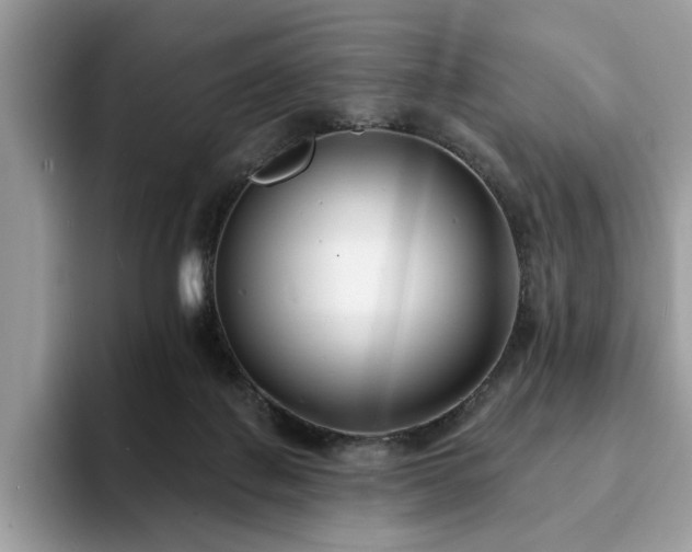 X0000094070075200710191128