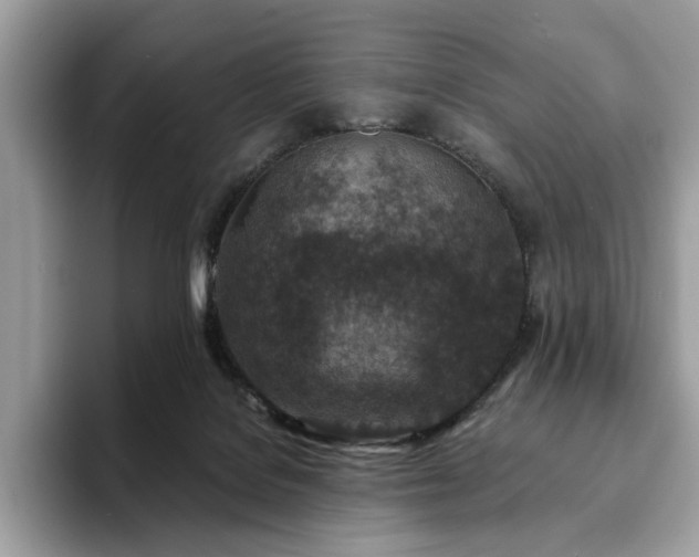 X0000094070076200710191128