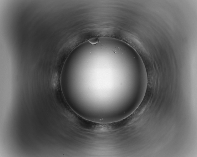 X0000094070077200710191128