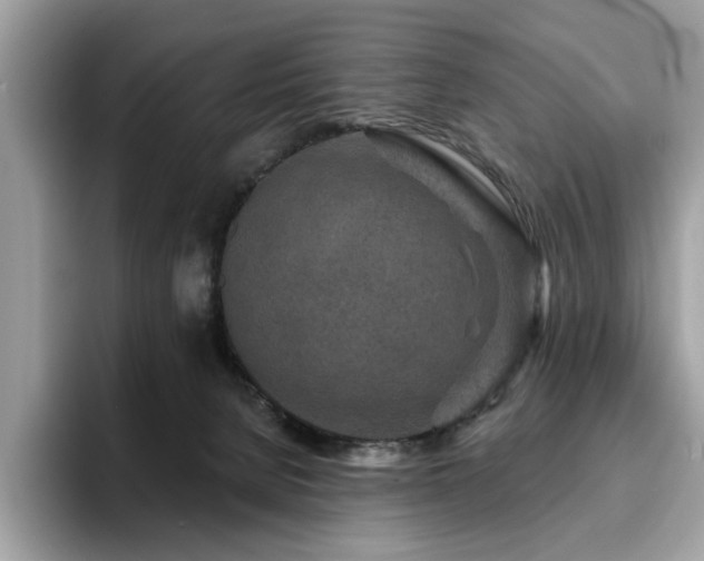 X0000094070080200710191128