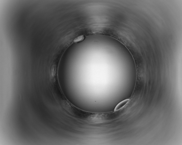 X0000094070082200710191128