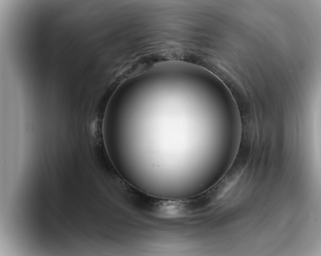 X0000094070088200710191128