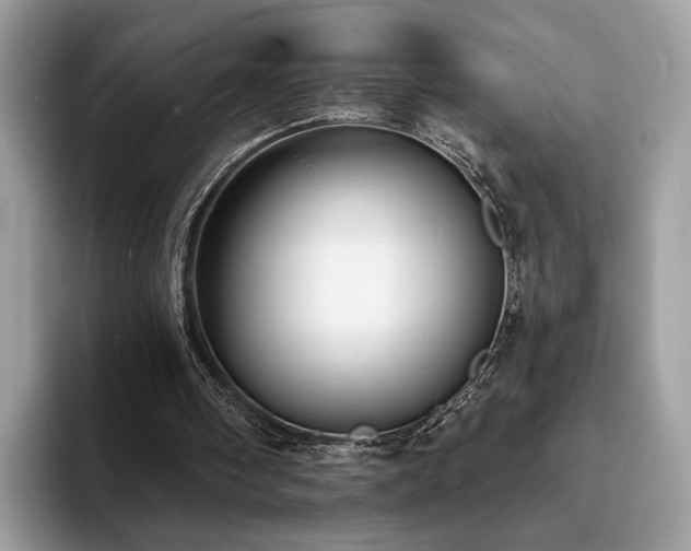 X0000094070098200710191127