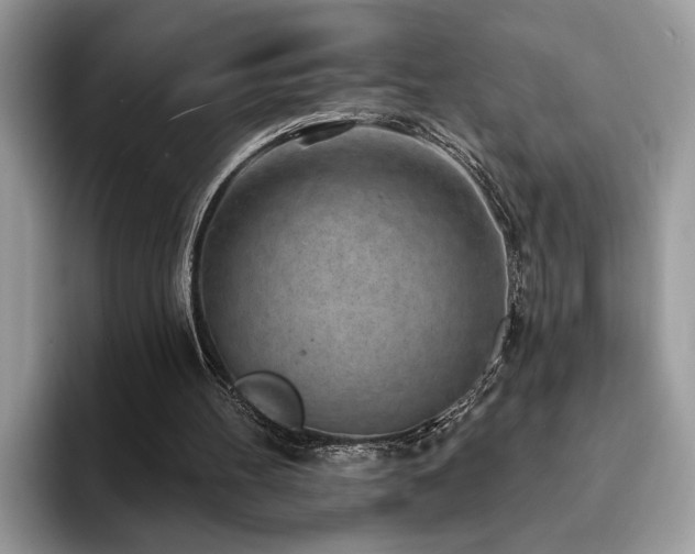 X0000094070100200710191127