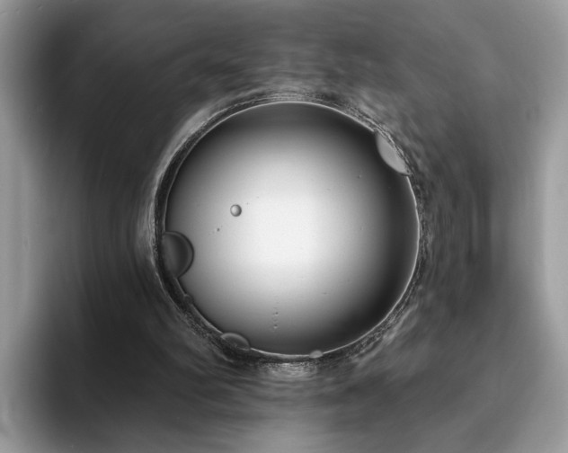 X0000094070102200710191127