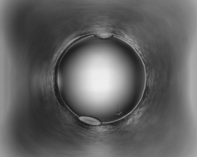 X0000094070103200710191127