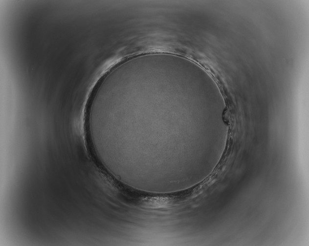 X0000094070104200710191127