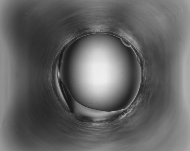 X0000094070105200710191127
