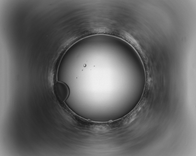 X0000094070106200710191127
