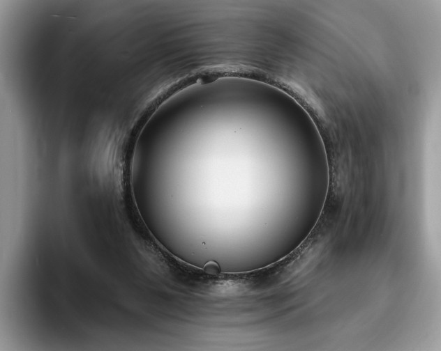 X0000094070111200710191127