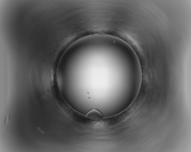 X0000094070115200710191127