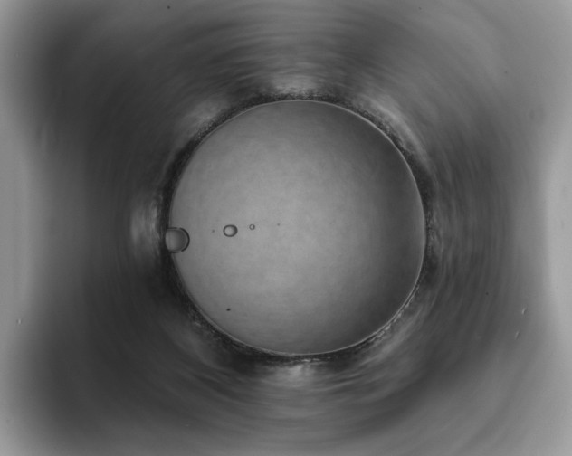 X0000094070116200710191127