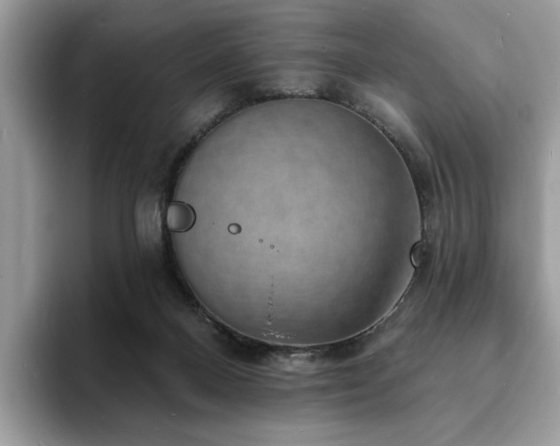 X0000094070120200710191127