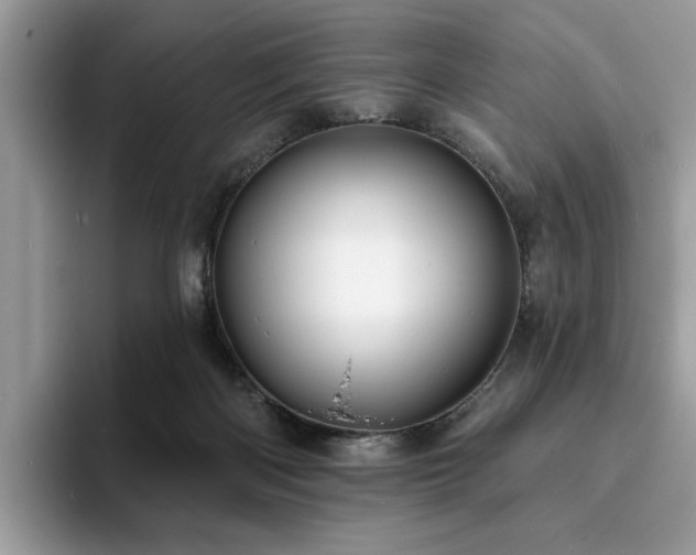 X0000094070122200710191127