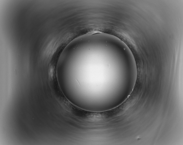 X0000094070123200710191127