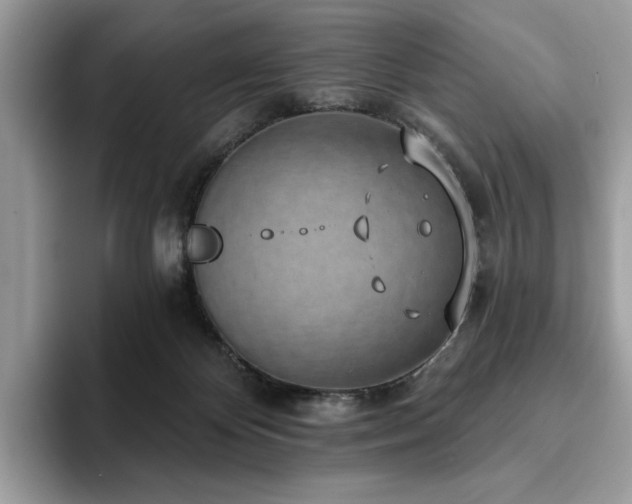 X0000094070124200710191127
