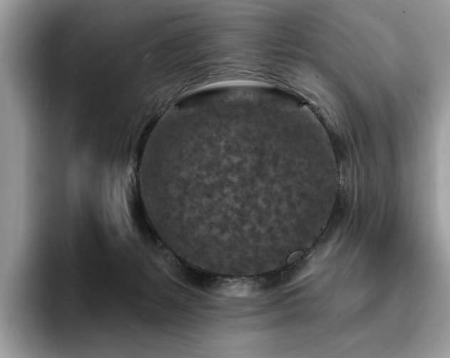 X0000094070127200710191127