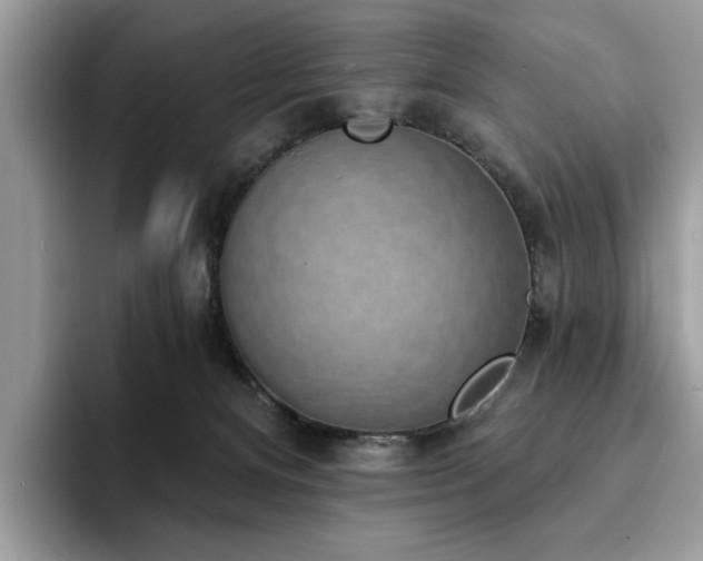 X0000094070128200710191127