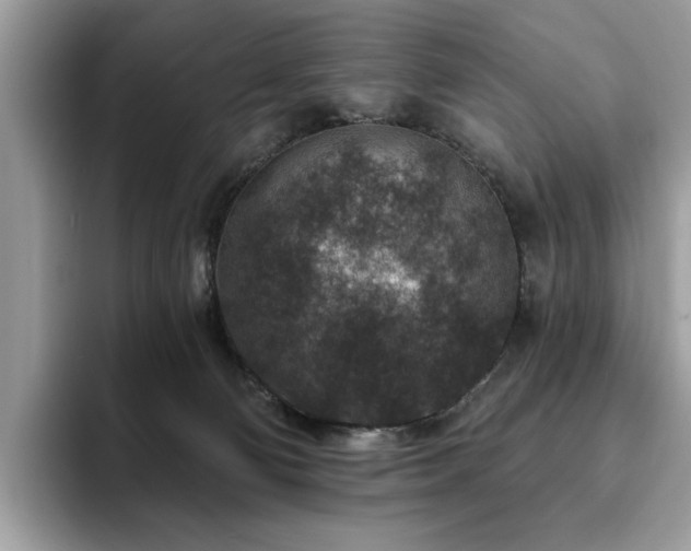 X0000094070130200710191127