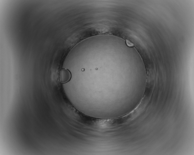 X0000094070136200710191127