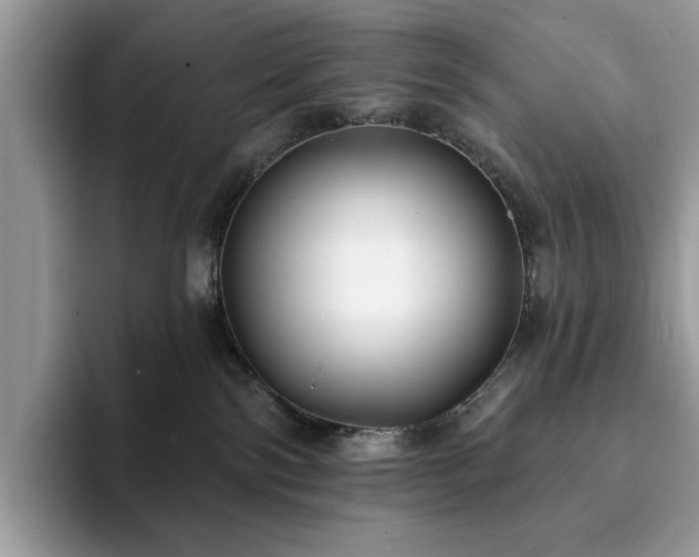 X0000094070138200710191127