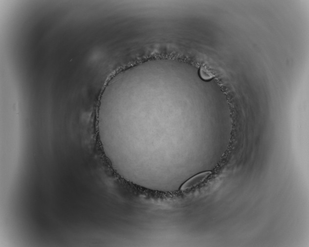X0000094070144200710191127