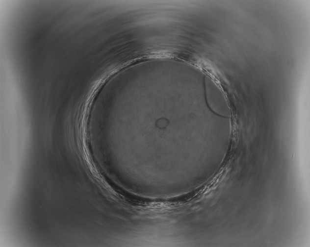 X0000094070145200710191126