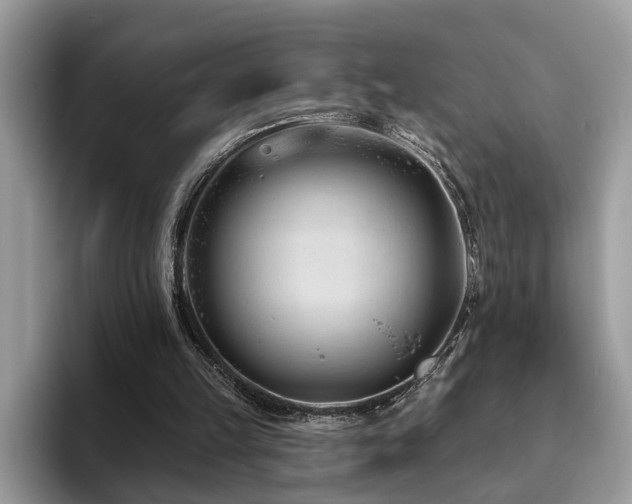 X0000094070149200710191126