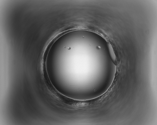 X0000094070152200710191126