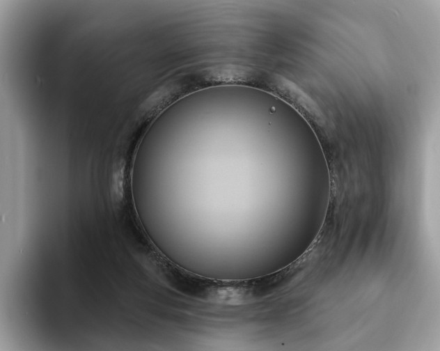 X0000094070163200710191126