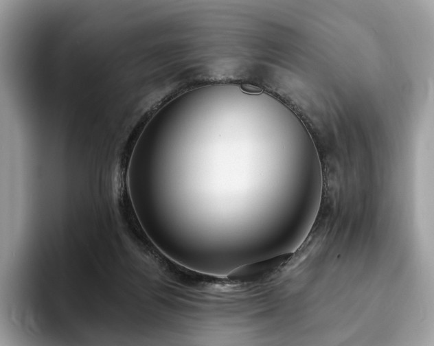 X0000094070164200710191126