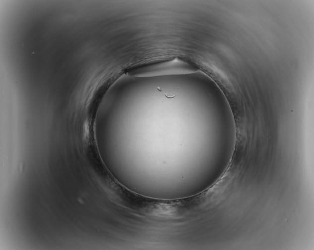 X0000094070166200710191126