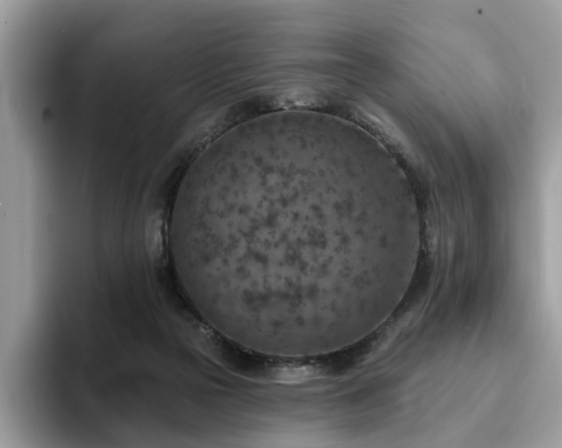 X0000094070169200710191126