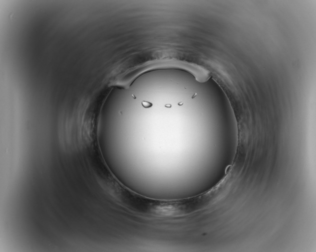 X0000094070171200710191126