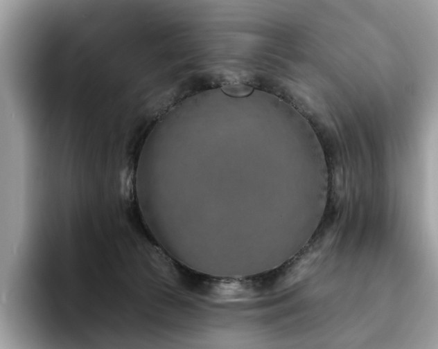 X0000094070177200710191126