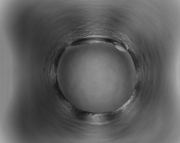 X0000094070186200710191127